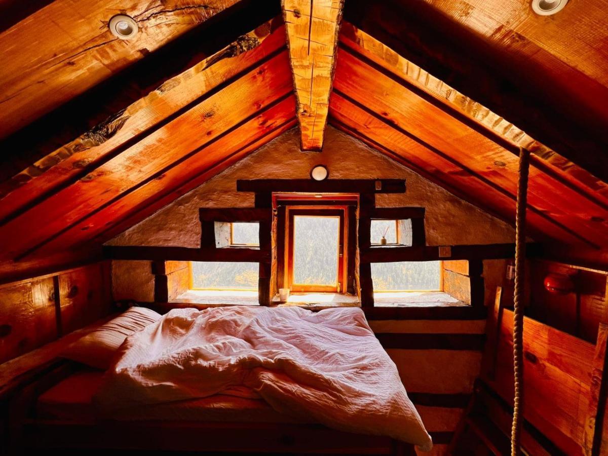 Parvatis Lap Luxury Hostel & Camps カソル エクステリア 写真